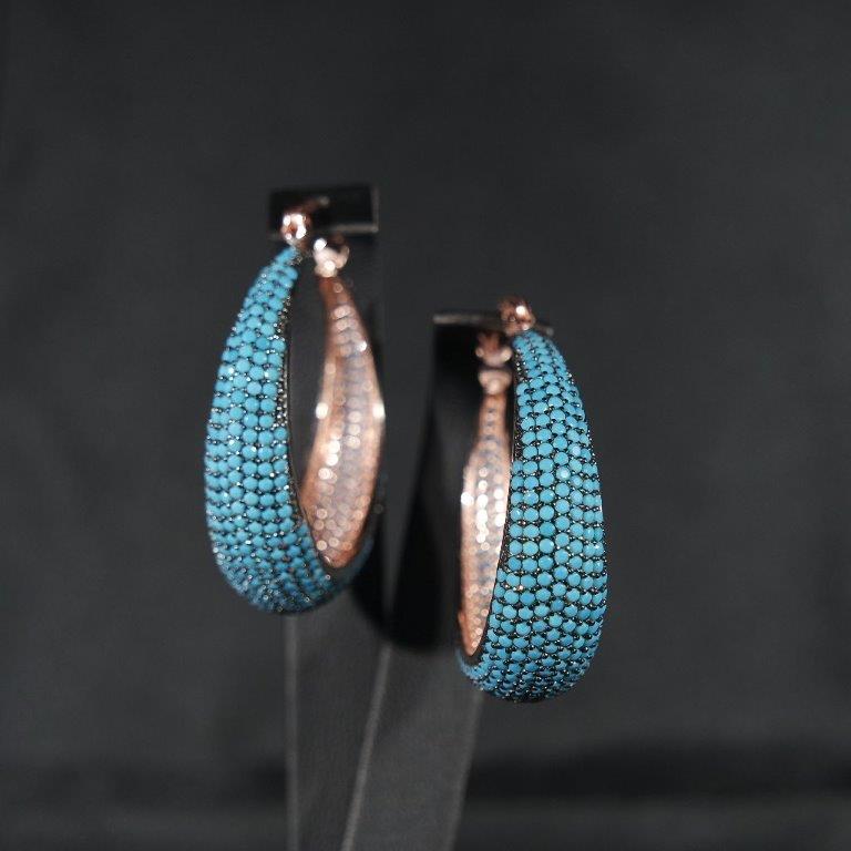 Blue Jewelry earrings 